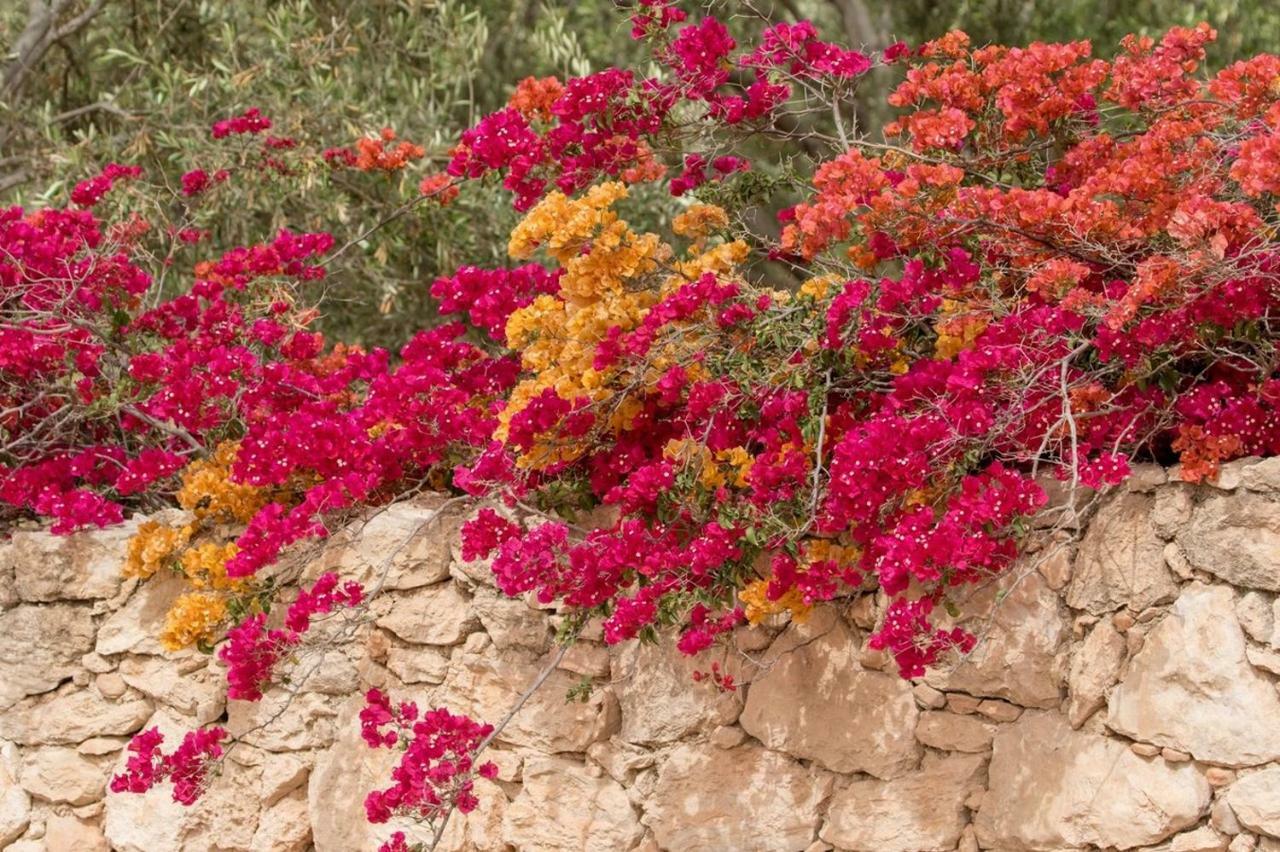 Riad Douar Des Oliviers El Arba Εξωτερικό φωτογραφία